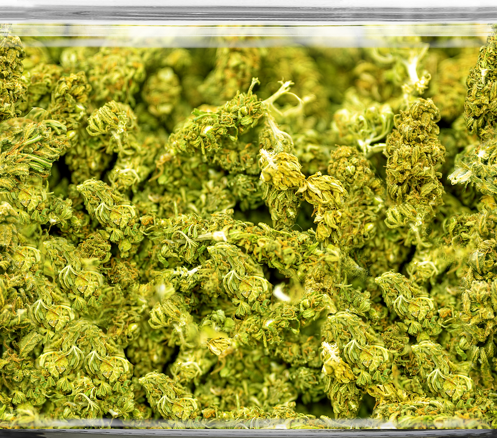 Thumbnail: 20 oz Skinny Stainless Steel Tumbler-Cannabis Jar