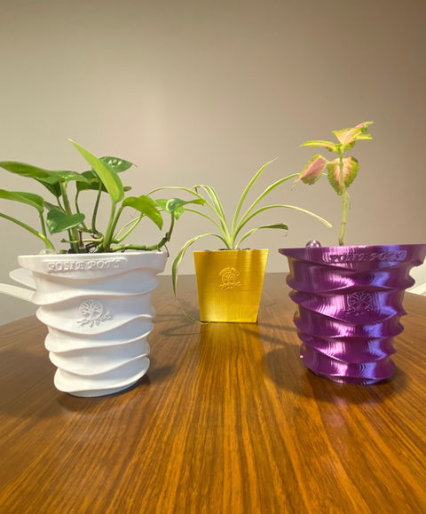 Group of Pothos, Spider Plant, and flowering plant in 3 self watering planters; water once a month.