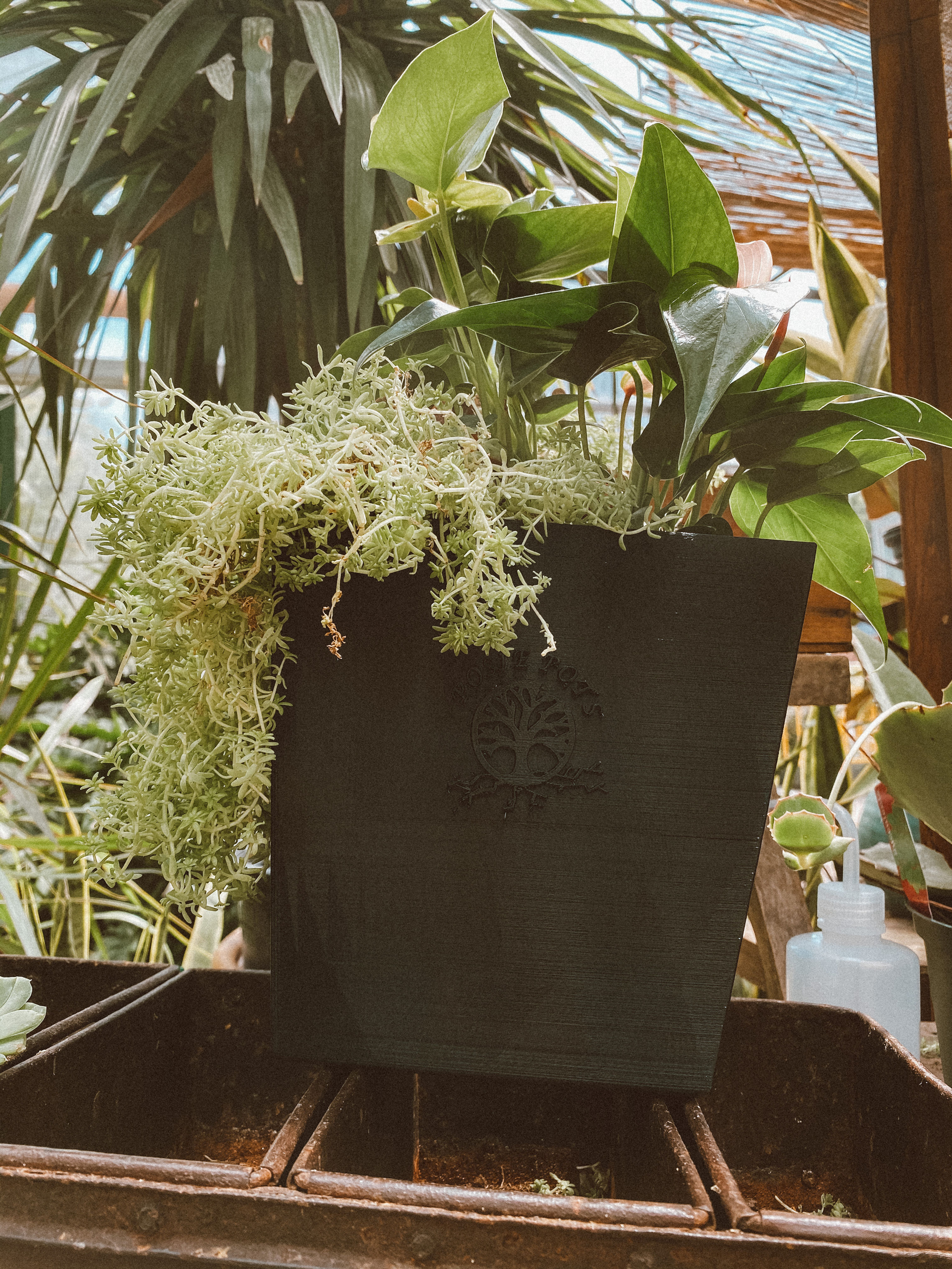 12-Inch Extra Large Twisted Square Self-Watering Planter