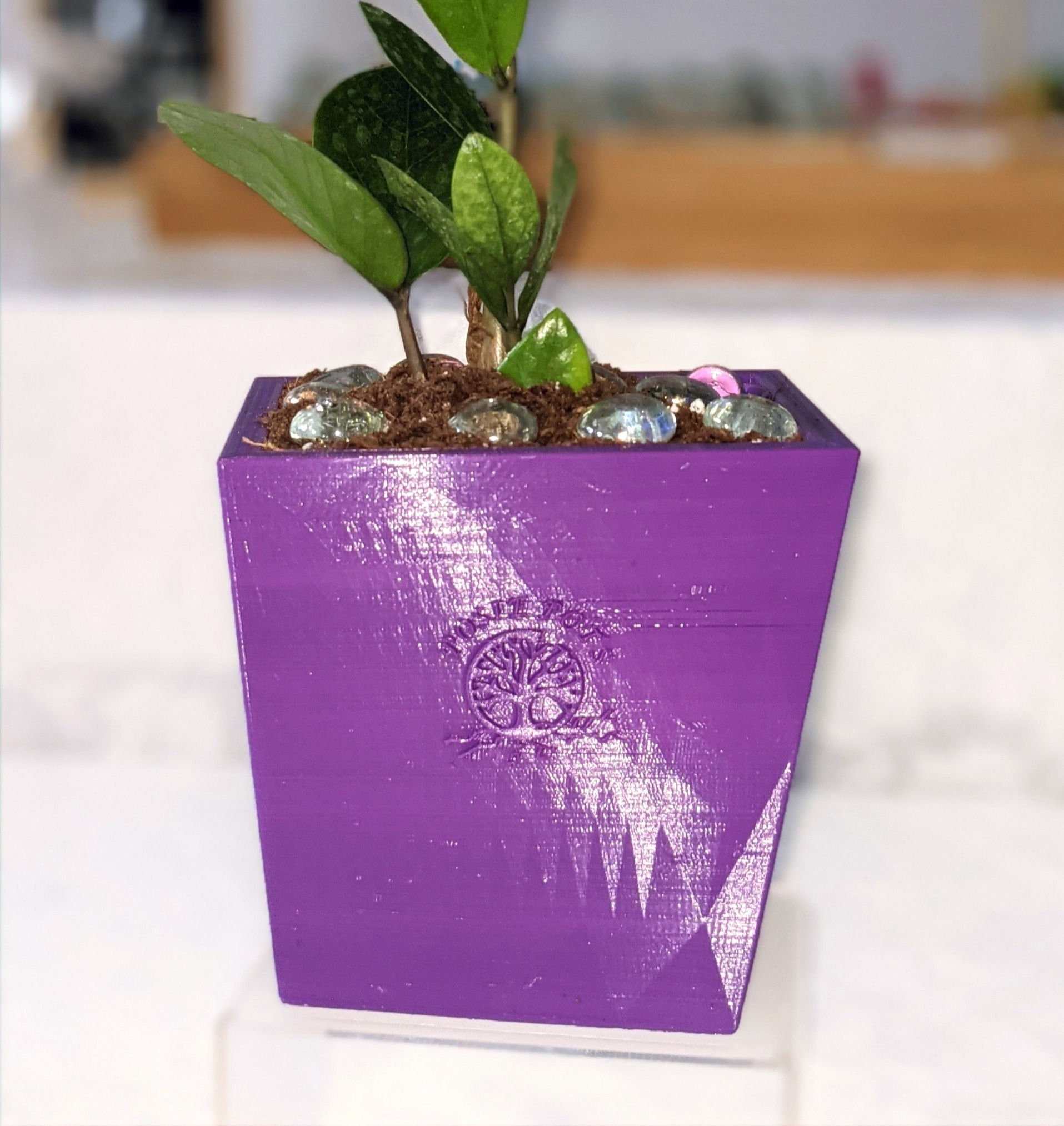 purple twisted square posiepot's self watering planter