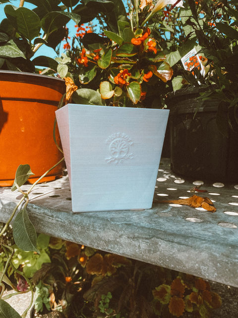 Orange-flowering Kalanchoe in white Twisted Square Posie Pots self watering planter with water once a month care.