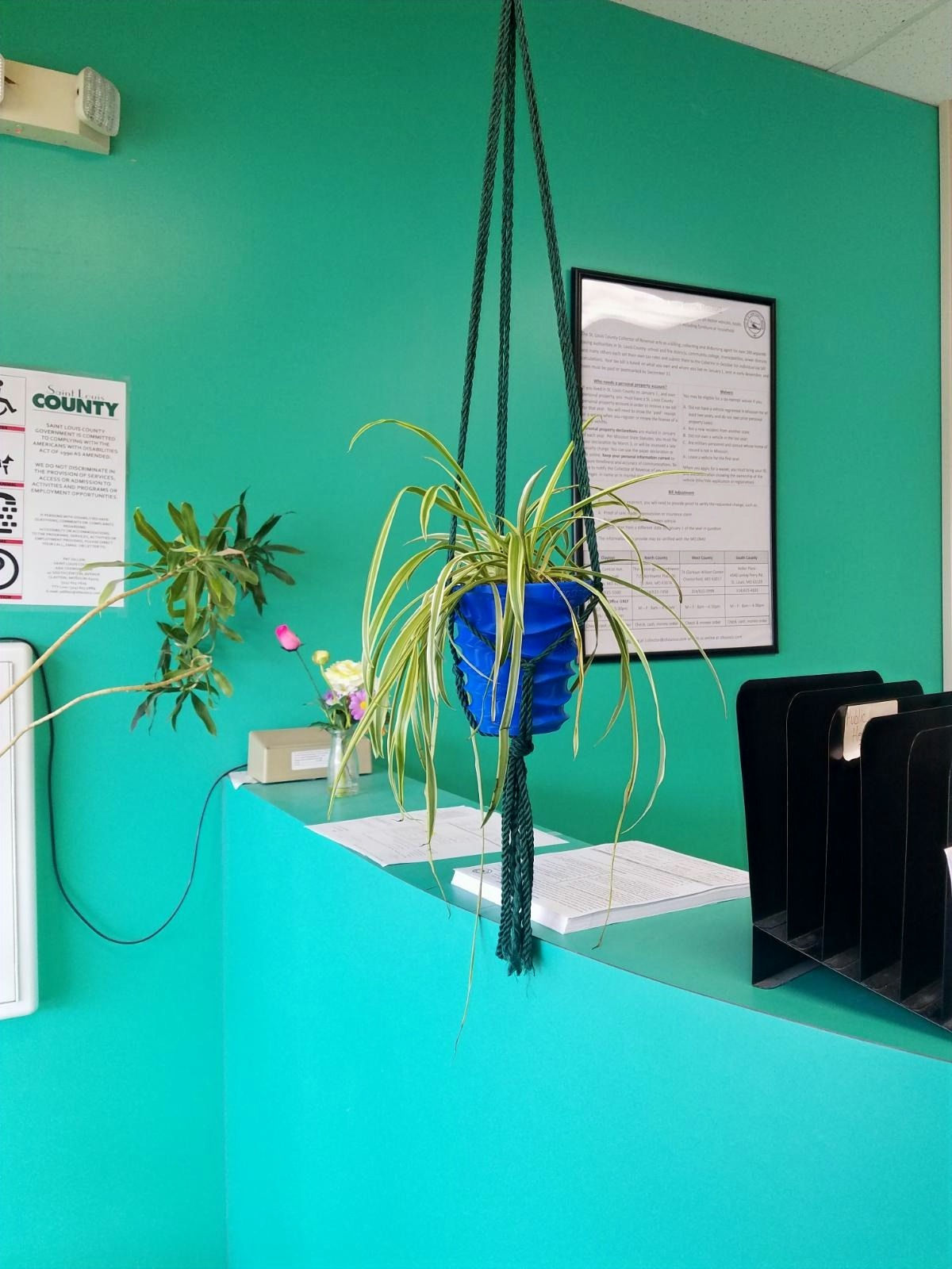 blue wave medium posiepot's self watering planter hanging