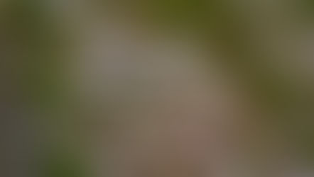 タネノオト #032