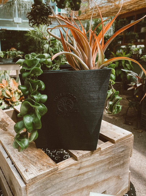 self watering plant pot black