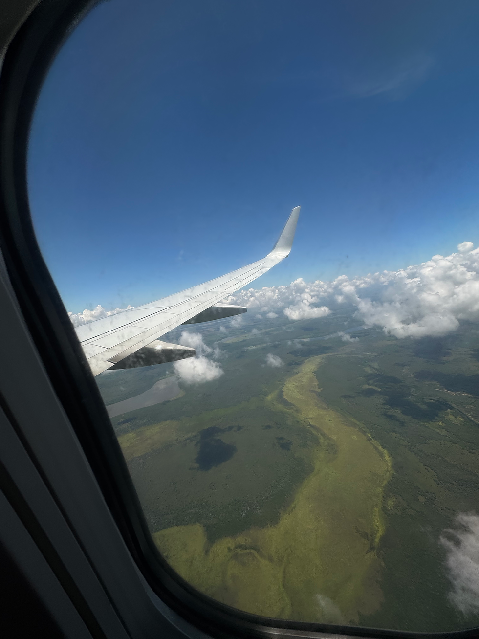 Peaceful green rainforest scenery in Belize, a leading eco-tourism destination