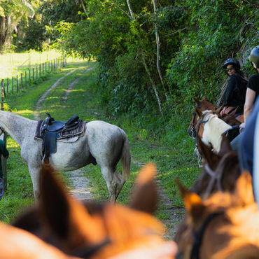 Several people on horses riding a dirt path in green woods.