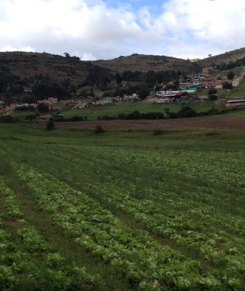 Captura de Pantalla 2020-11-19 a la(s) 1