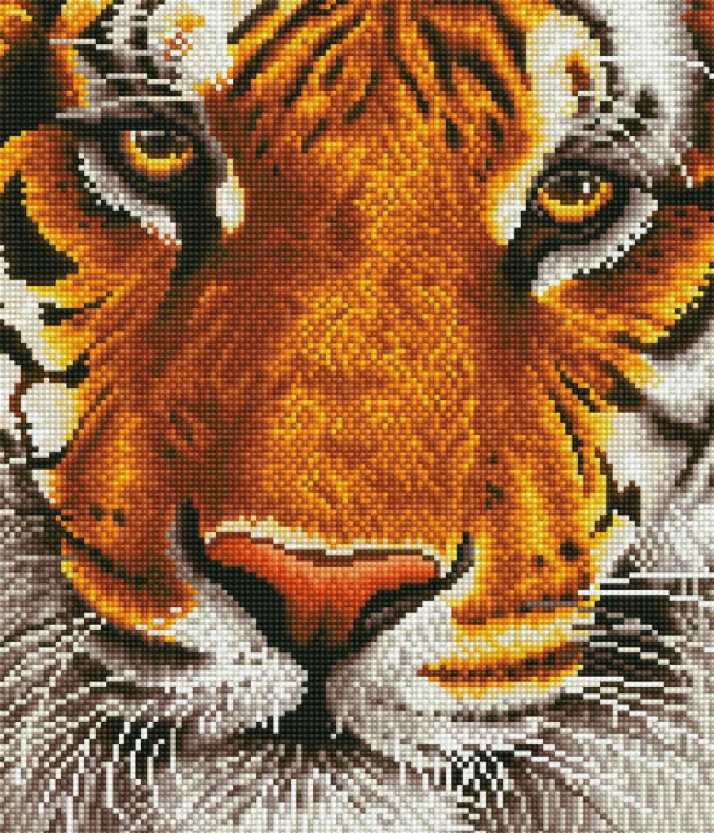 Diamond Dotz - Bengal Magic