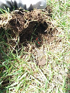 20180927_132723.jpg