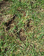 20180927_132714.jpg