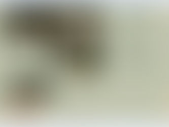 Homework for Wednesday 20th of October