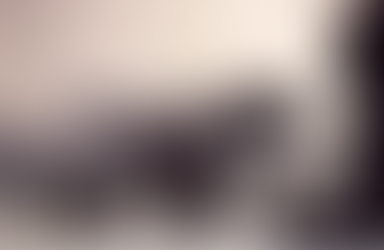 Wednesday 10th of November