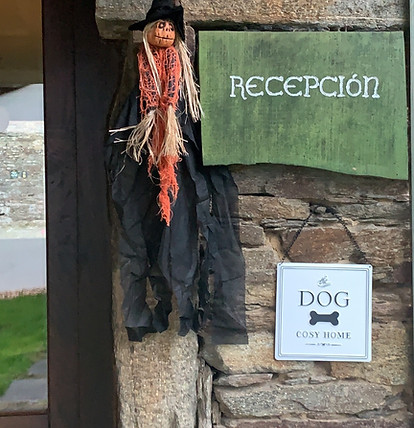 Recepción de casa rural pet-friendly
