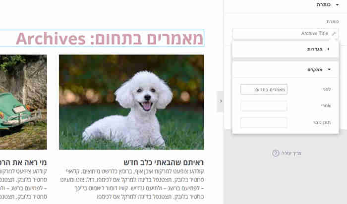 איך מסירים קידומת תגית מדף ארכיון בוורדפרס