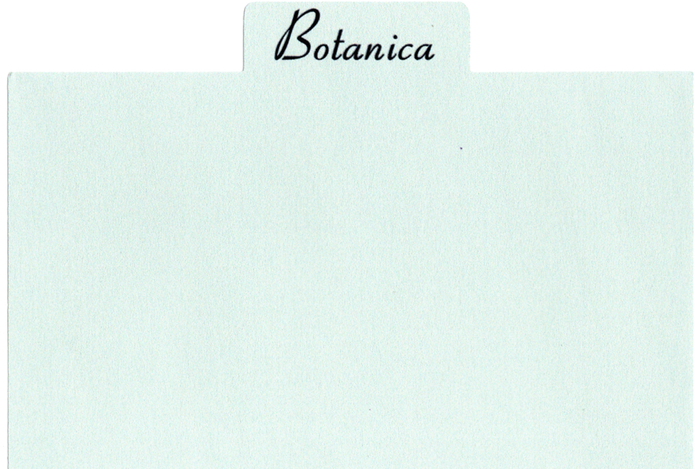 Folder with tab reading 'Botanica'