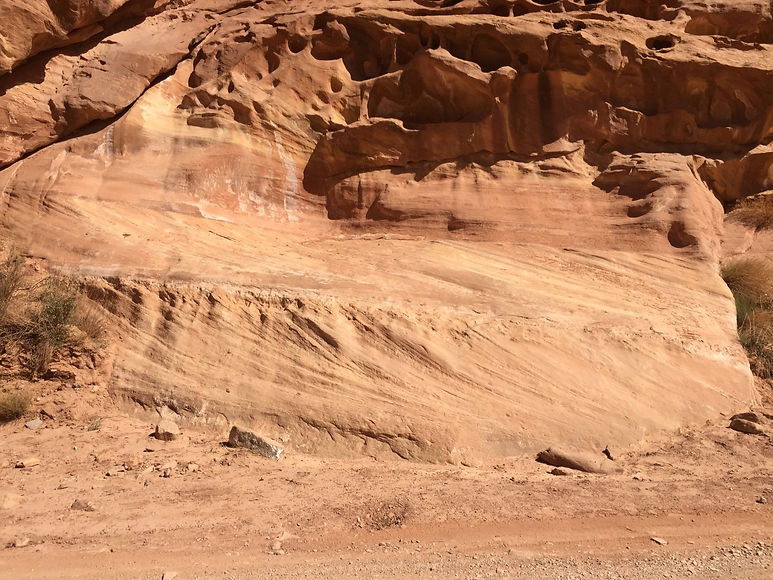 IMG_3444 (Large).JPG