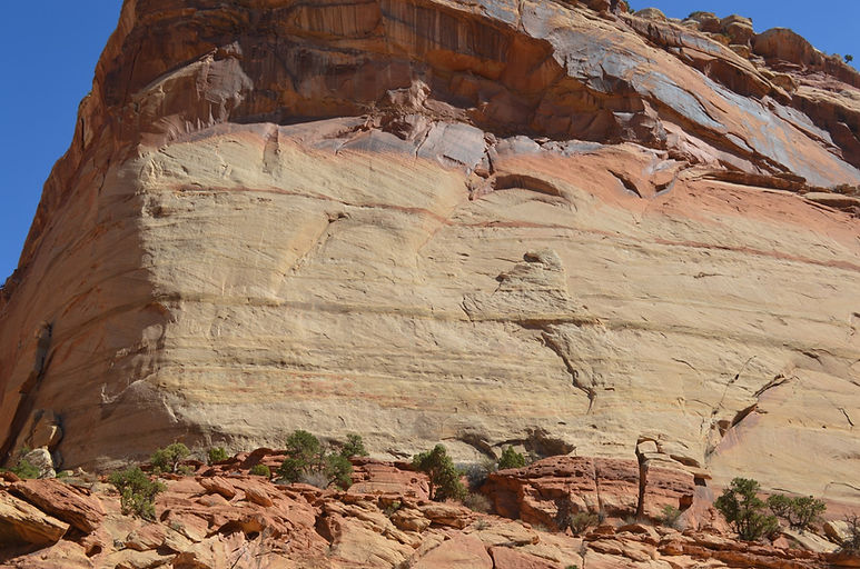 DSC_2035 (Large).JPG