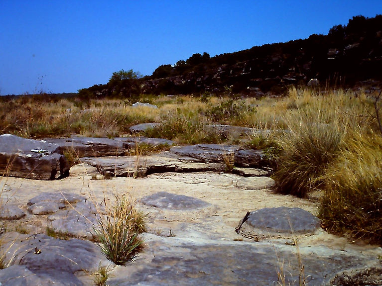 Honeycut Bend Algae 2 (Large).JPG