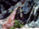 B34-PICT0034(B34) (Large).JPG