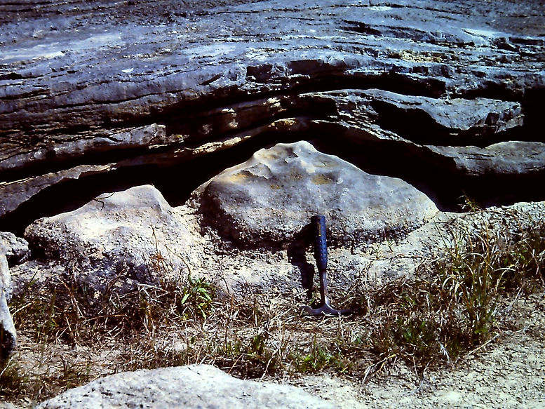 Honeycut Bend Algae 4 (Large).JPG