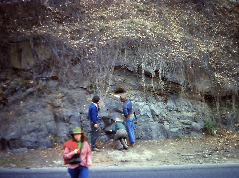 PICT0055 (Large)(ColorChange).jpg