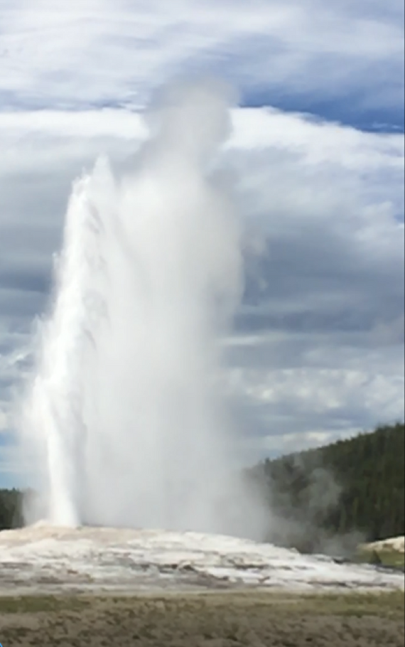 Picture1a (Large).png