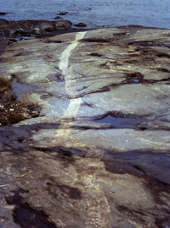 PICT0008 (Large)(ColorChange).jpg