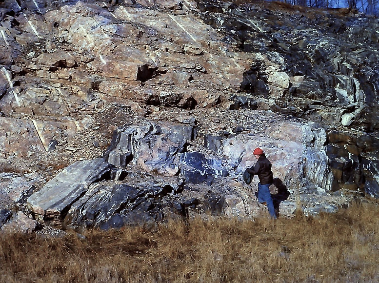 PICT0015 (Large)(ChangedColor).jpg