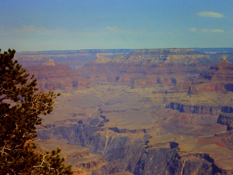 PICT0022-2-24 (Large).jpg