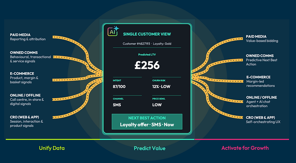Customer Intelligence Engine_Media Example.png