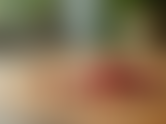 The Benefits of Placenta Encapsulation