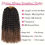 Miniature : 12 Inch Water Wave Passion Twist Crochet Braids Extensions- 7 pack
