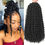 Miniature : 12 Inch Water Wave Passion Twist Crochet Braids Extensions- 7 pack