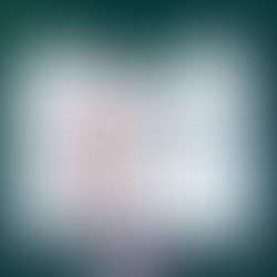 Mini Guide to Brugge · Travel Journal Series