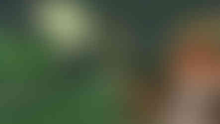 Headless Horseman Key Scene