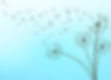 dandelions horizontal (2) (1).jpg