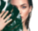 shutterstock_1041379831_edited.jpg