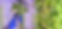 Untitled design (9).png