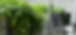 Untitled design (14).png