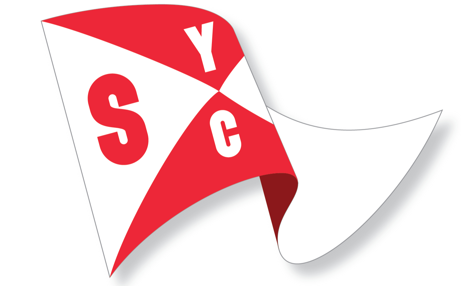 SYC_Banner_Survey_edited.jpg