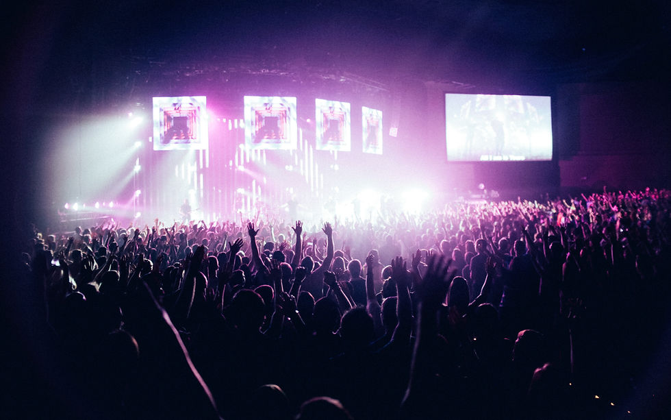 Concert Crowd Scene