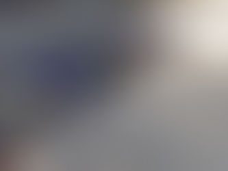 DETIENEN AL LÍDER DEL CJNG Y ABATEN A LA «CATRINA»