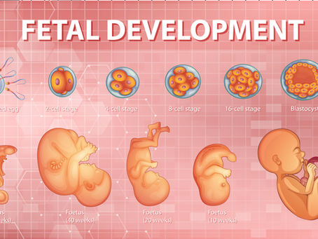 IVF Center in Ahmedabad for Male Infertility Treatments