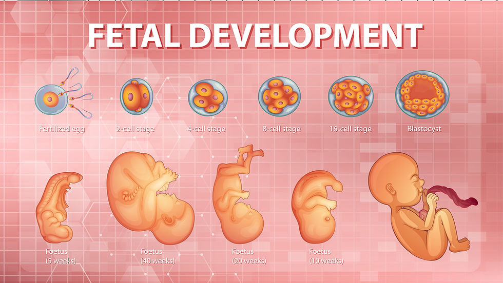 Male patient consulting IVF specialist in Ahmedabad for infertility treatment.
