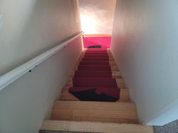 Isabel_Before (4).jpg