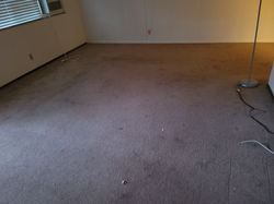 2927_BeforeWork (3).jpg