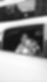 IMG_3810.jpeg
