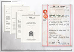 Screen Graphic Portfolio July 2025-03