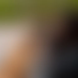 brianna dick dog trainer