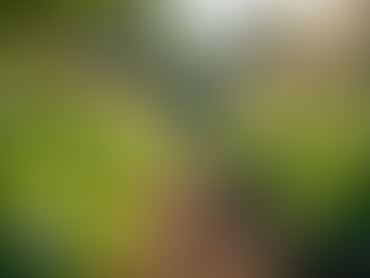 Advocating for Emerging Adults